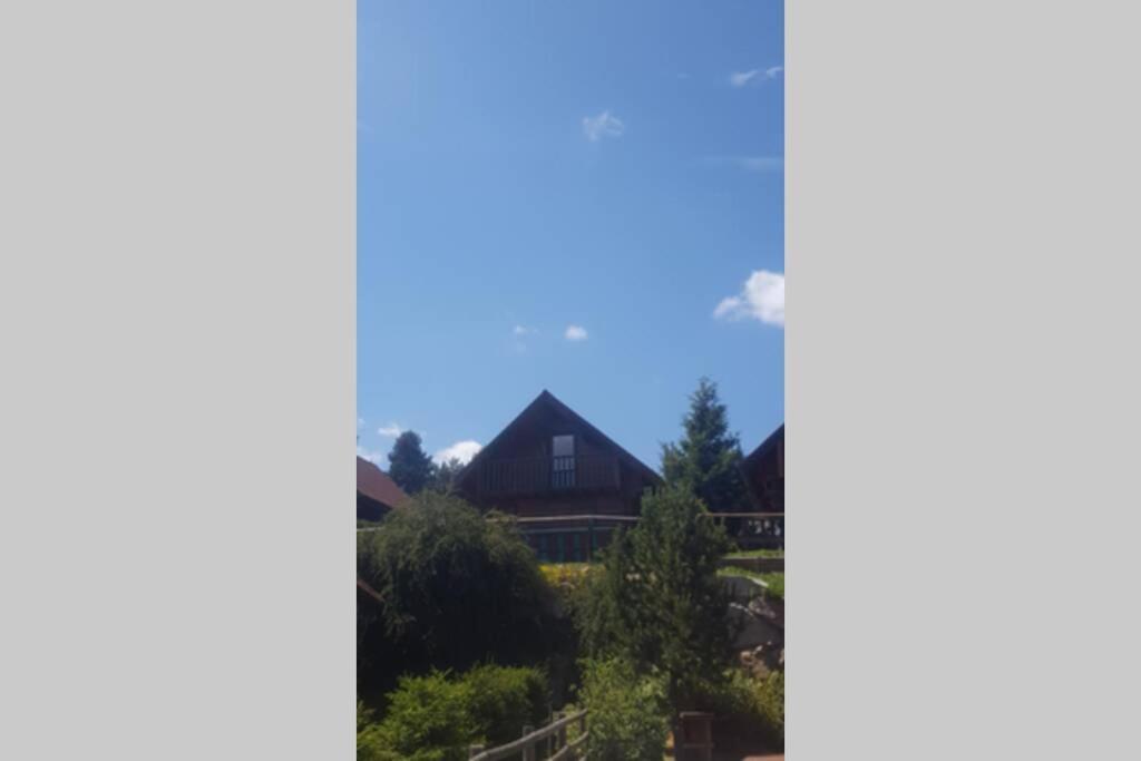 Maison De Bois Finlandaise Au Pied Des Pistes Bolquere Bagian luar foto